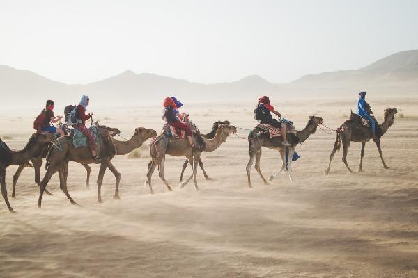 Conosci i Travel Advisors: intervista con Veronica