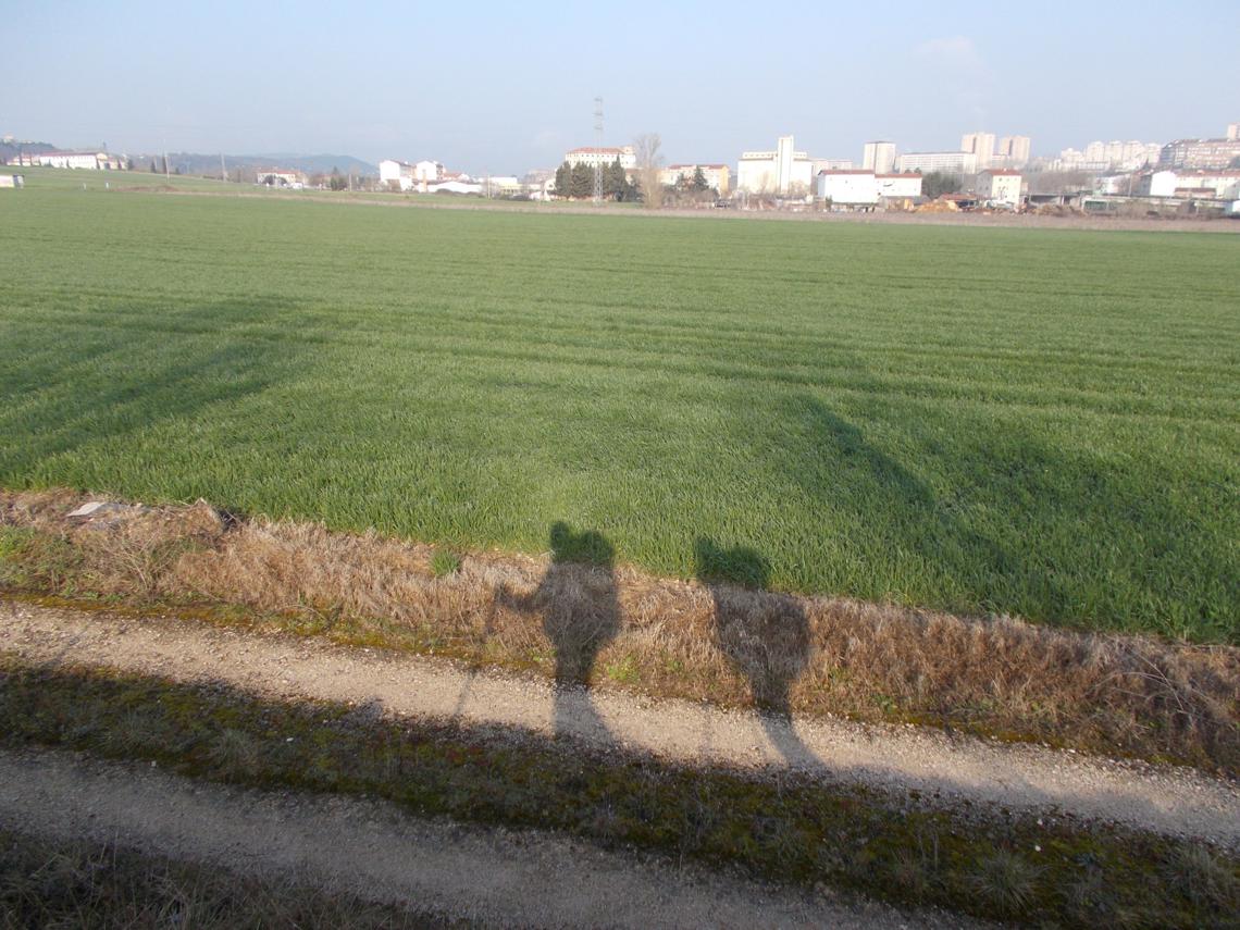 Camminare, camminare, camminare...