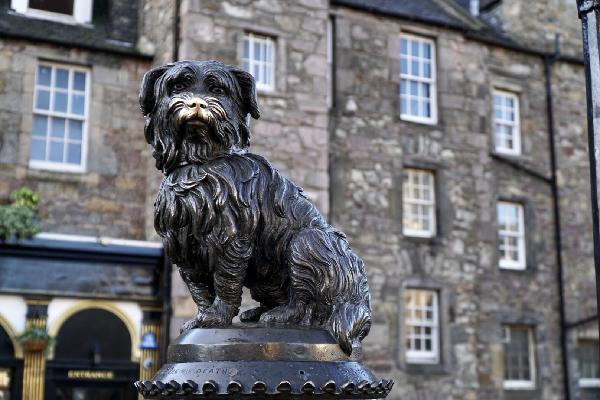 La mascotte di Edimburgo: la commovente storia di Greyfriars Bobby