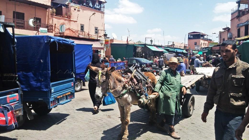 Marrakech non è per tutti, o la ami o la odi.
