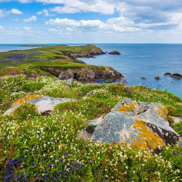 Irlanda