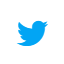Condividi su Twitter